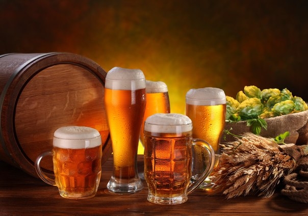 Пейте пиво — будете здоровы