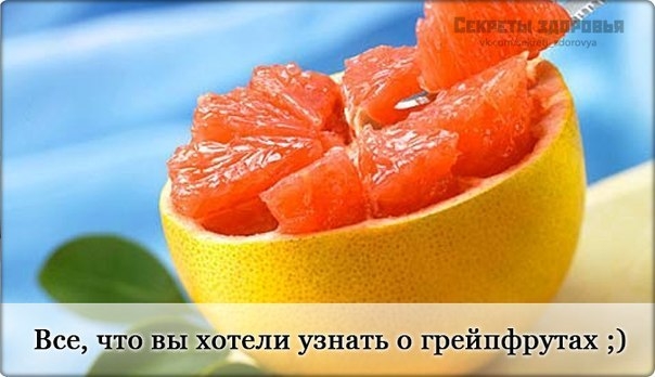 Интересные факты о грейпфруте.
