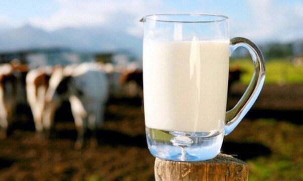 Как правильно пить молоко!