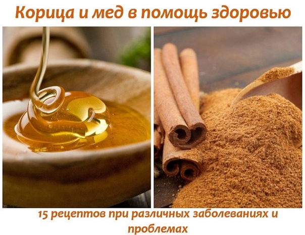 Корица и мед в помощь здоровью - 15 рецептов при различных заболеваниях и проблемах.