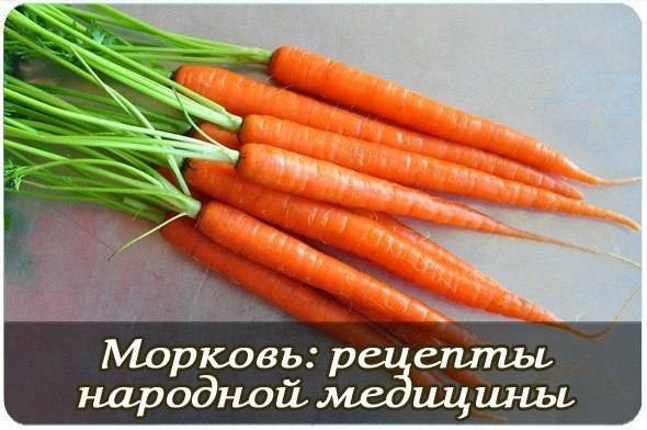 Морковь: польза, рецепты народной медицины