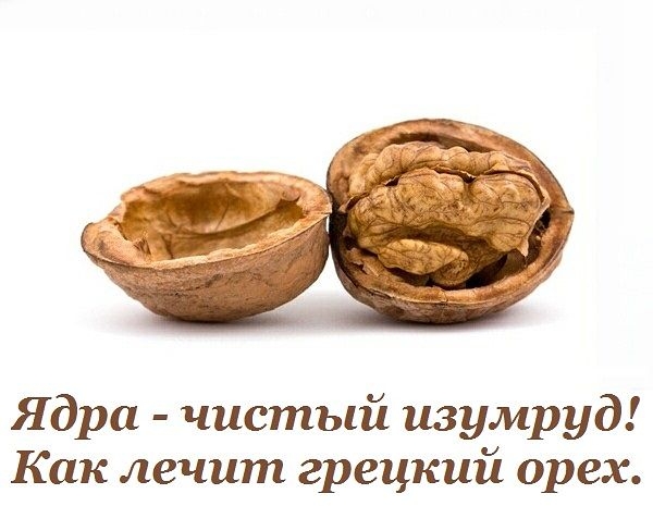 Как лечит грецкий орех