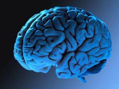 Удивительные факты о мозге