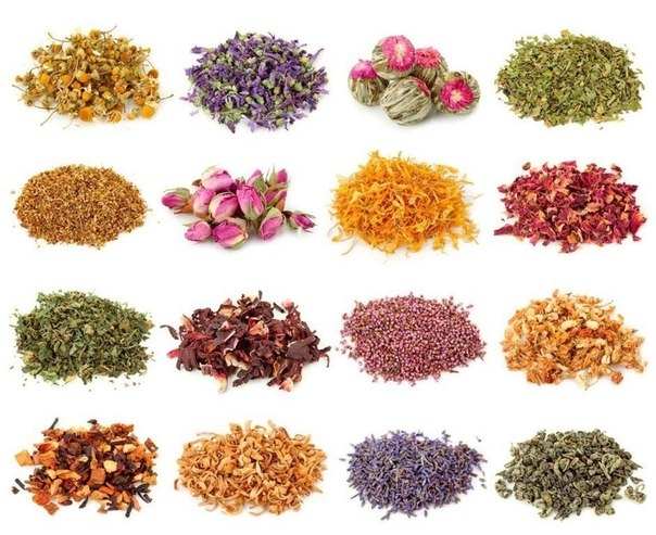 Травяные, цветочные и ягодные чаи – когда их пить и чем они полезны?