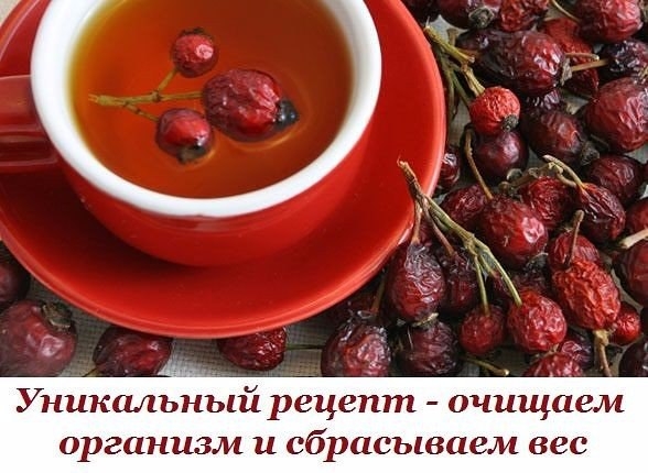 Уникальный рецепт - очищаем организм и сбрасываем лишний вес Уникальный рецепт - очищаем организм и сбрасываем лишний вес