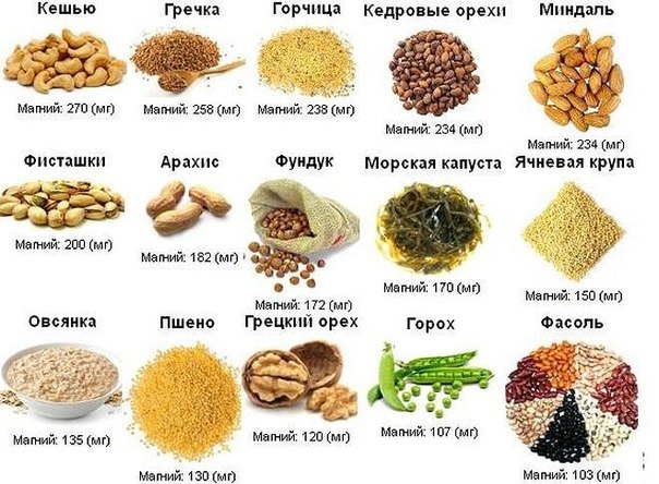 Магний для нашего организма Магний для нашего организма