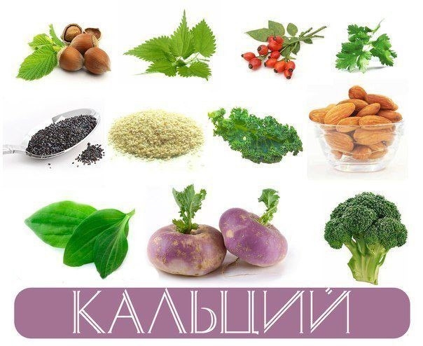Кальций - это жизненно необходимый элемент, без него жизнь человека была бы невозможна. Кальций необходим каждой нашей клетке, включая клетки сердца, нервов и мышц. Он необходим для обеспечения нормальной жизнедеятельности всех живых организмов. Кальций - это жизненно необходимый элемент, без него жизнь человека была бы невозможна. Кальций необходим каждой нашей клетке, включая клетки сердца, нервов и мышц. Он необходим для обеспечения нормальной жизнедеятельности всех живых организмов.