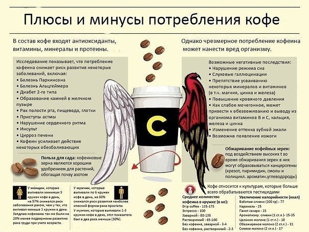 Плюсы и минусы потребления кофе Плюсы и минусы потребления кофе