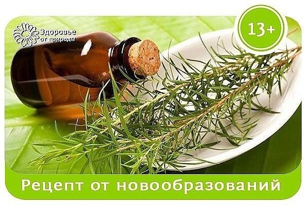 У меня есть хороший рецепт от многих женских и мужских проблемм. Рассасывает все новообразования, в т.ч. миомы, аденомы, кисты, спайк и очень хорошо выводит даже застарелые инфекции. Масло чайного дерева является антибактерицидным и помогает при многих за У меня есть хороший рецепт от многих женских и мужских проблемм. Рассасывает все новообразования, в т.ч. миомы, аденомы, кисты, спайк и очень хорошо выводит даже застарелые инфекции. Масло чайного дерева является антибактерицидным и помогает при многих за