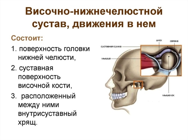 Дифференциальная диагностика щелчков в ВНЧС Дифференциальная диагностика щелчков в ВНЧС