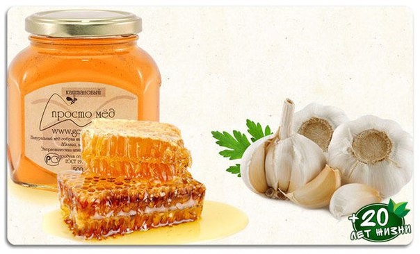 Чеснок, мёд и уксус — сочетание этих 3 ингредиентов способно победить даже рак!