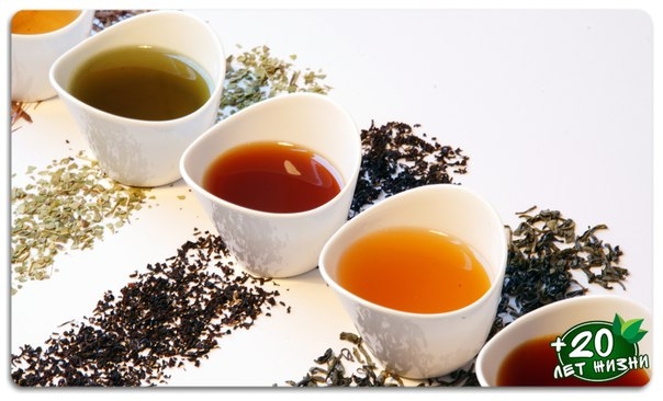 Чай способен на многое! Узнай, как влияют на организм разные виды этого напитка