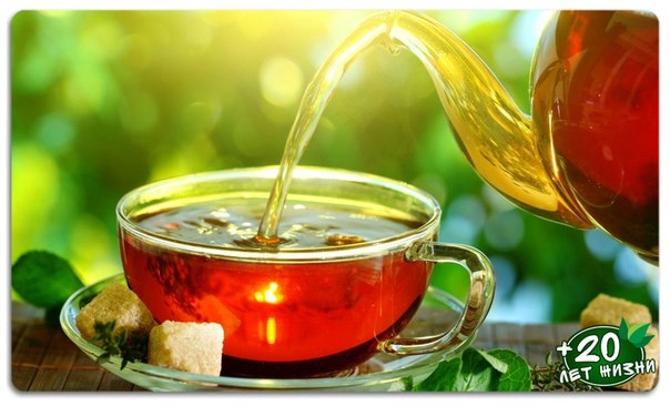 5 вкусных и полезных чайных напитков