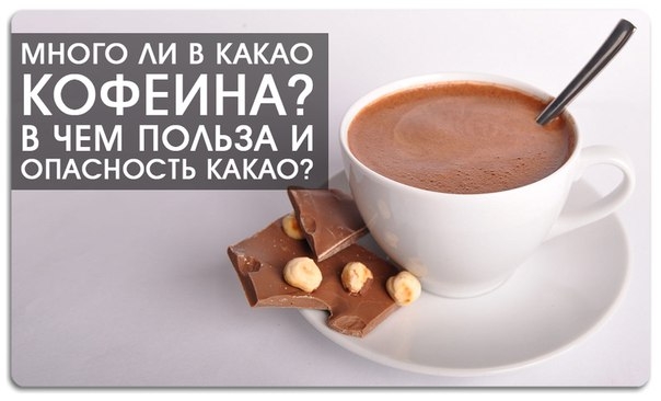 Много ли в какао кофеина? В чем польза и опасность какао?
