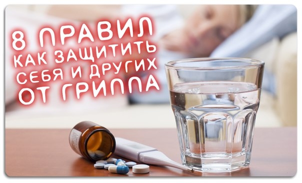 8 правил как защитить себя и других от гриппа 8 правил как защитить себя и других от гриппа