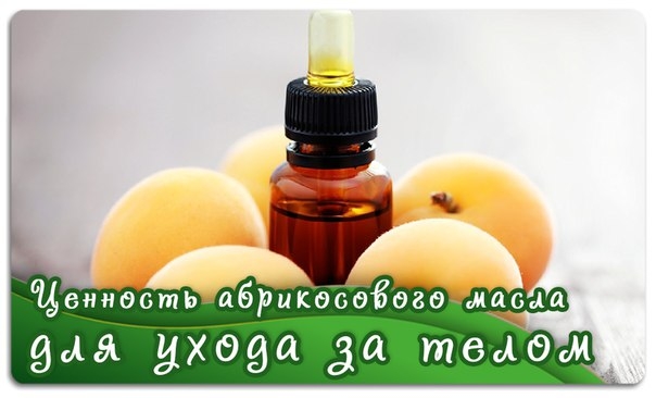 Ценность абрикосового масла для ухода за телом