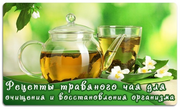 Рецепты травяного чая для очищения и восстановления организма