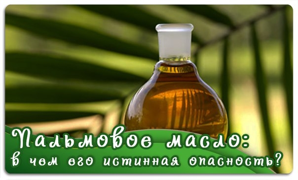 Пальмовое масло: в чем его истинная опасность?