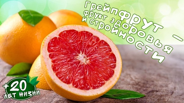 Грейпфрут – фрукт здоровья и стройности