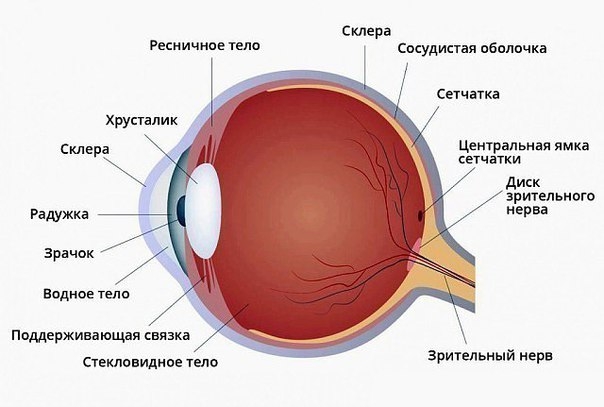 Зрение возвращается без операции. Зрение возвращается без операции.