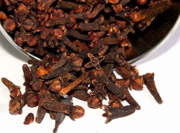 Чай с гвоздикой – пряный аромат или полезный напиток?