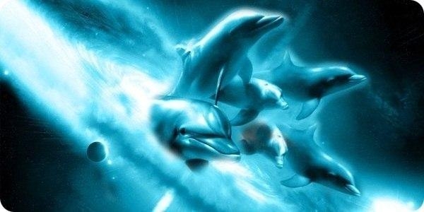 Звуки, издаваемые дельфинами, обладают целебным эффектом.