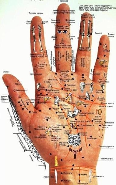 Как узнать состояние здоровья по рукам: необыкновенная, но такая правдивая диагностика!