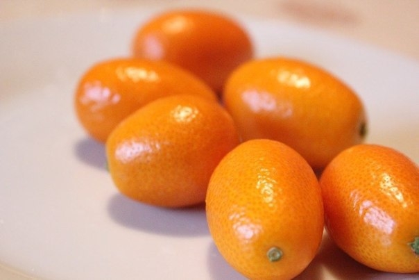 Маленький "апельсинчик" - кумкват и бесподобное антибактериальное варенье.