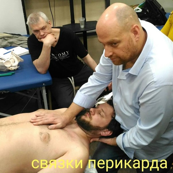Коррекция глубоких околопозвоночных фасций, связок перикарда, дуги аорты и купола плевры. Фото с семинара Коррекция глубоких околопозвоночных фасций, связок перикарда, дуги аорты и купола плевры. Фото с семинара