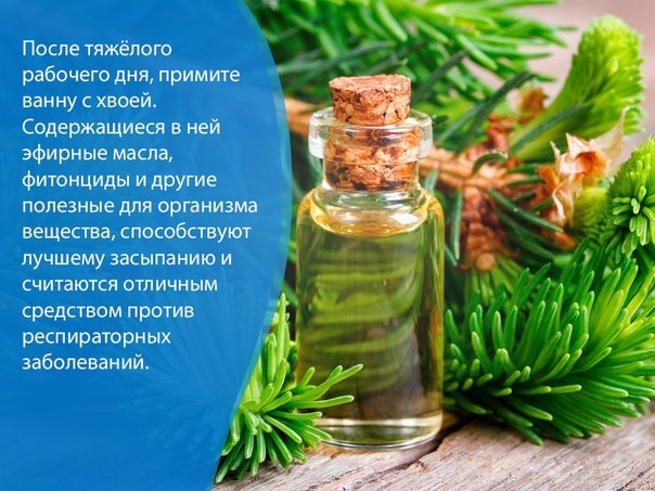 После тяжёлого рабочего дня, примите ванну с хвоей. Содержащиеся в ней эфирные масла, фитонциды и другие полезные для организма вещества, способствуют лучшему засыпанию и считаются отличным средством против респираторных заболеваний, подстерегающих нас по После тяжёлого рабочего дня, примите ванну с хвоей. Содержащиеся в ней эфирные масла, фитонциды и другие полезные для организма вещества, способствуют лучшему засыпанию и считаются отличным средством против респираторных заболеваний, подстерегающих нас по