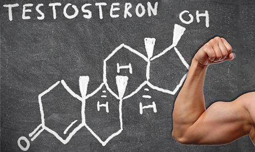 Как повысить уровень тестостерона?