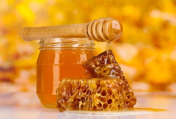 Мед для похудения – противопоказания