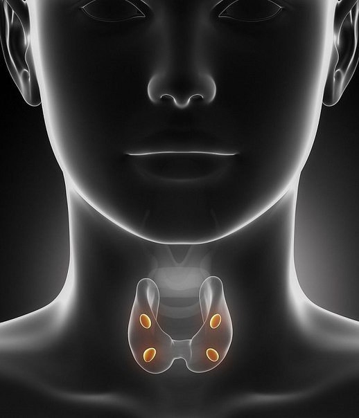 Как проблемы щитовидки отражаются на коже