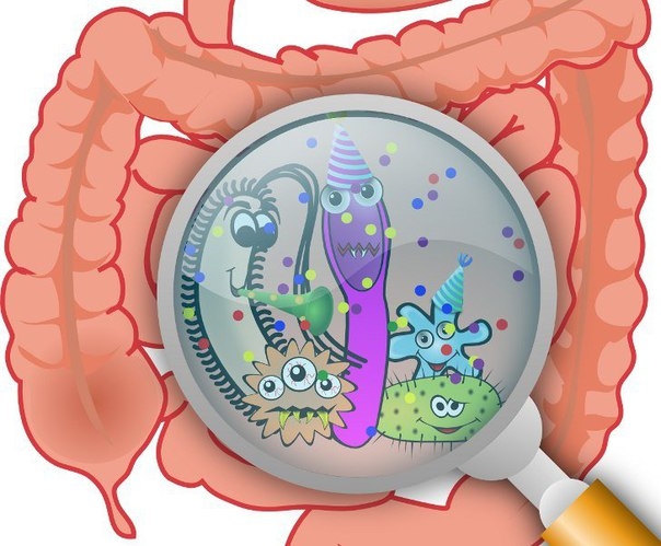 Дисбактериоз: микрофлора кишечника влияет на весь организм.