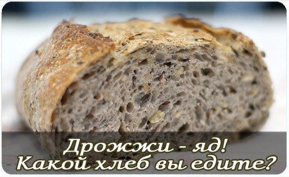 Хлеб, которым нас убивают.